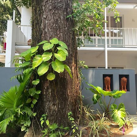 Trinity At Fort Cochin Kochi Екстериор снимка